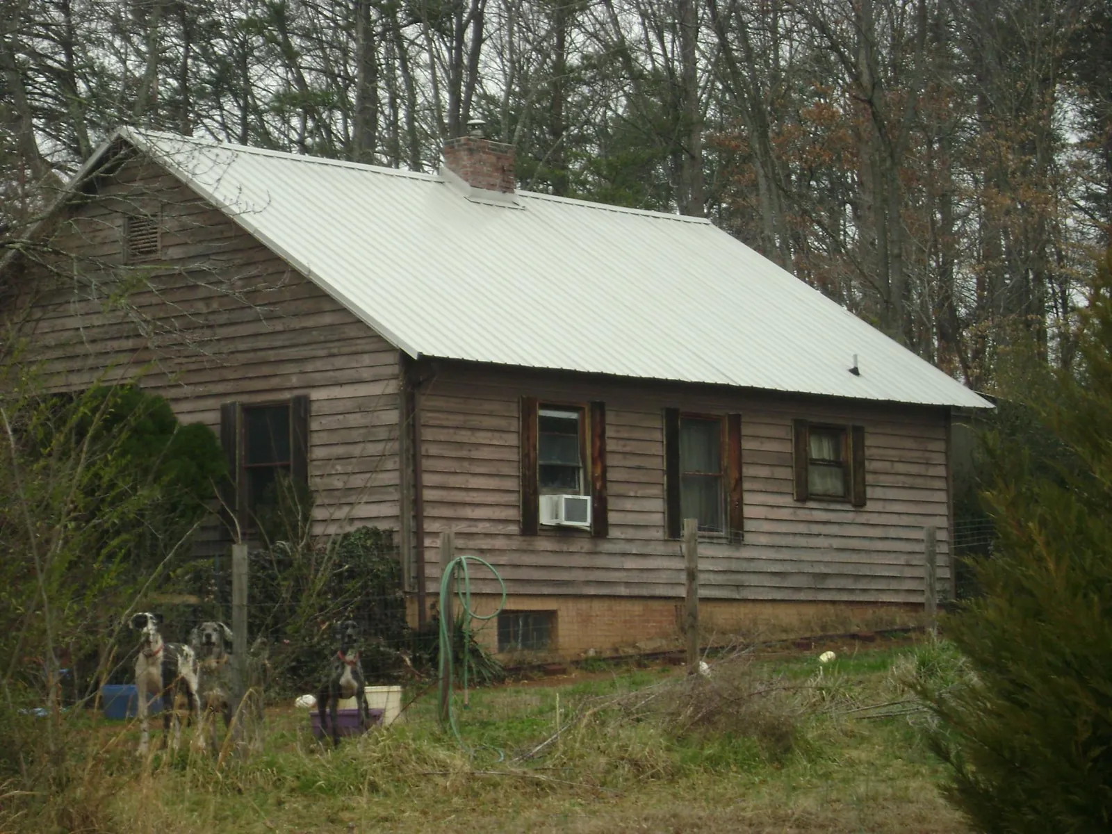 White metal roof on an old wood sided farmhouse, from a Asphalt Shingle Roof Repair job in Calvin